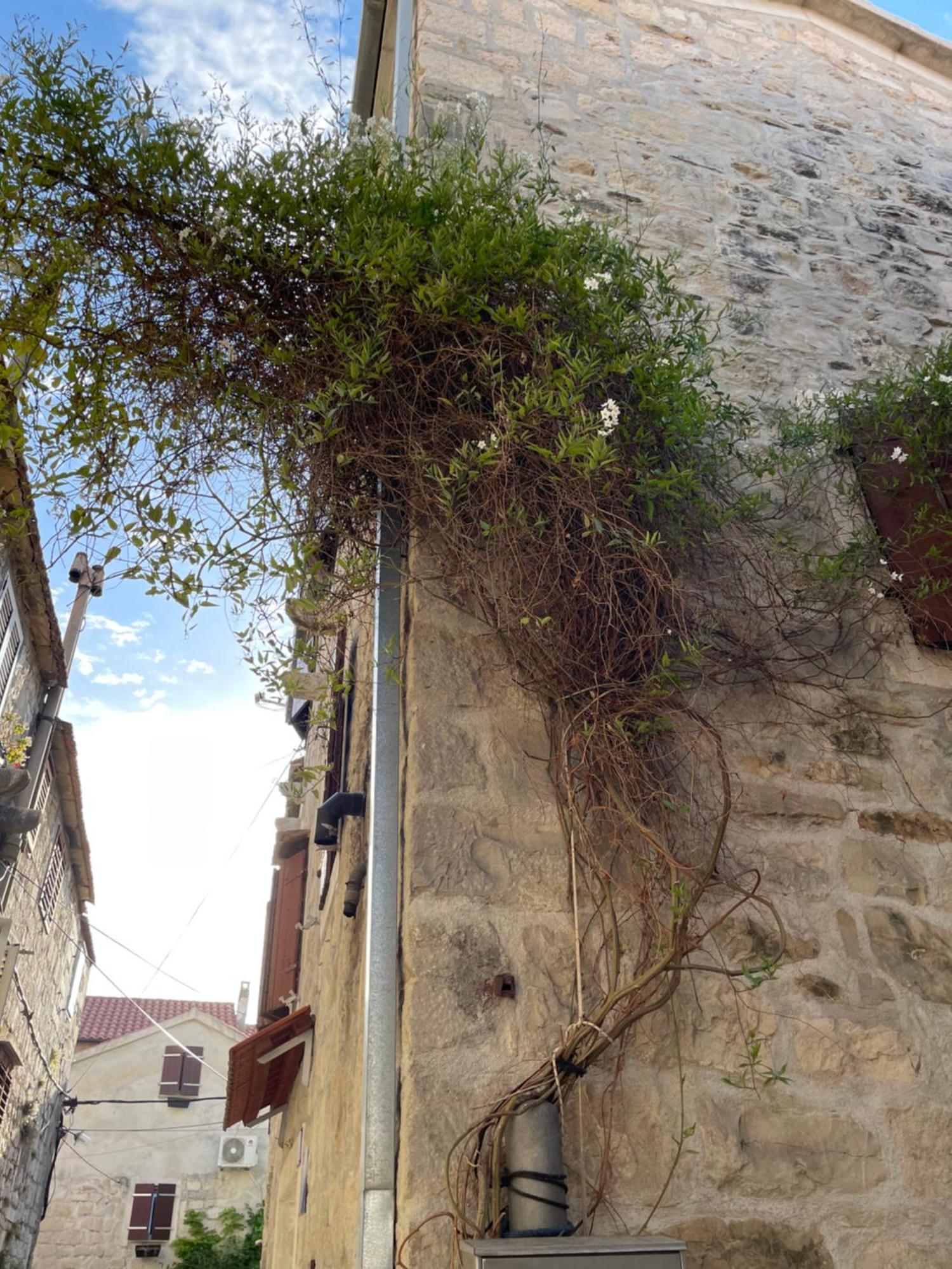 Apartman Pundinica Kaštela المظهر الخارجي الصورة